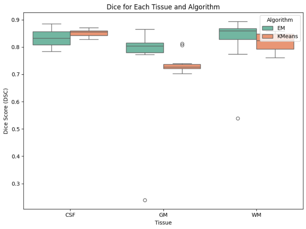 Image for Unsupervised Brain Tissue Segmentation with GMM and EM